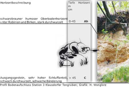 schematische Darstellung . Schnitt durch den Boden