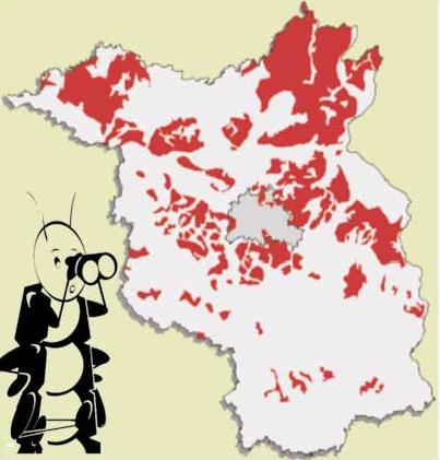 Karte Brandenburg mit Vorkommen von Lehmkolluvisolen