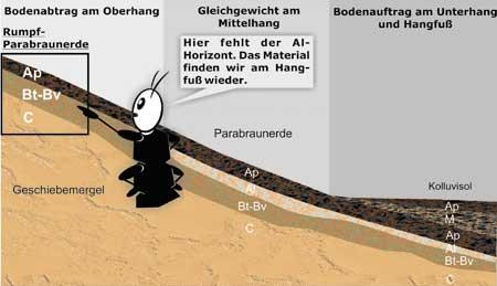 Darstellung Erosion und Schichtenbildung