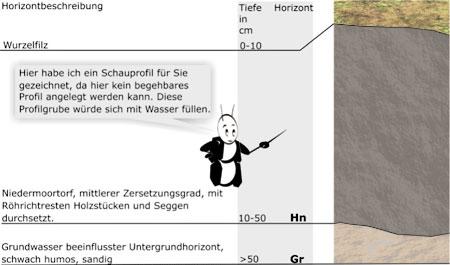 Darstellung Erdschichten Niedermoor