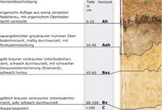 Schematische darstellung