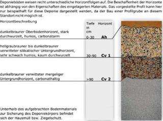 schematische Darstellung